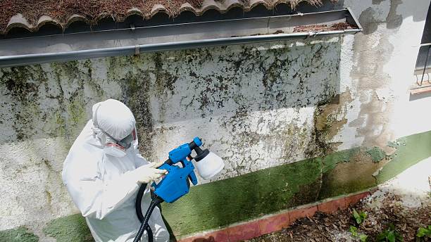 Top rated local Mold Remediation specialists in Christiana, TN